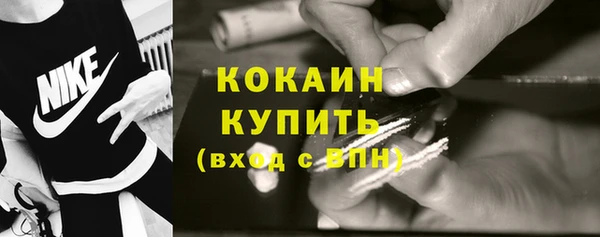 кокс Алексин