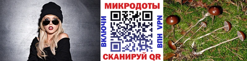 Галлюциногенные грибы Magic Shrooms  Егорьевск 